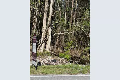 Lot 8 Marsh Avenue, Freeport, FL 32439 - Photo 13