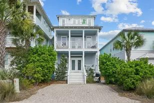 87 W Endless Summer Way, Inlet Beach, FL 32461 - Photo 47