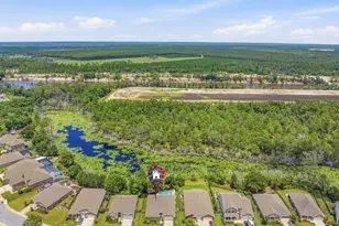 285 Wayne Trail, Santa Rosa Beach, FL 32459 - Photo 67