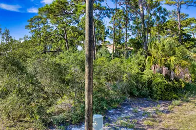 981 W Bayshore Drive, Saint George Island, FL 32328 - Photo 5