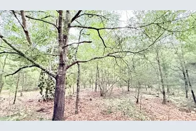 1.511 Acre W Dvorak Drive, Defuniak Springs, FL 32433 - Photo 5