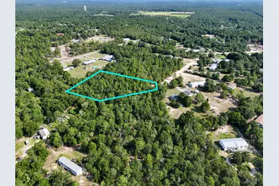 1.511 Acre W Dvorak Drive, Defuniak Springs, FL 32433 - Photo 3