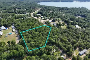 1 511 Acre W Dvorak Dr, Defuniak Springs, FL 32433 - Photo 1