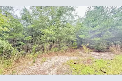 1.511 Acre W Dvorak Drive, Defuniak Springs, FL 32433 - Photo 11