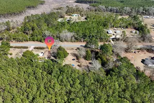 4383 Glen Chambers Rd, Florala, AL 36442 - Photo 35