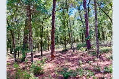 Lot 30 Holly Lake Court, Defuniak Springs, FL 32433 - Photo 9