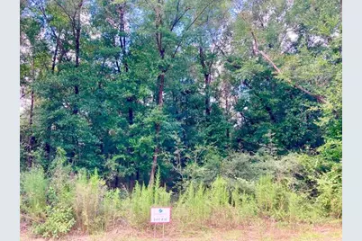 Lot 30 Holly Lake Court, Defuniak Springs, FL 32433 - Photo 17