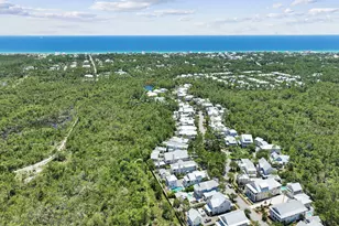 514 East Royal Fern Way, Santa Rosa Beach, FL 32459 - Photo 71