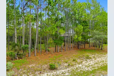1509 Sweetbay Trail, Panama City Beach, FL 32413 - Photo 5