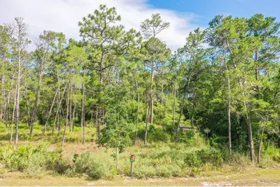 1412 Turtleback Trail, Panama City Beach, FL 32413 - Photo 7