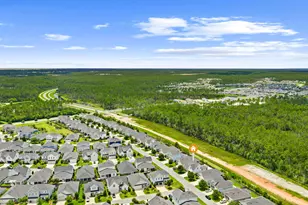 179 Windrow Way, Inlet Beach, FL 32461 - Photo 77