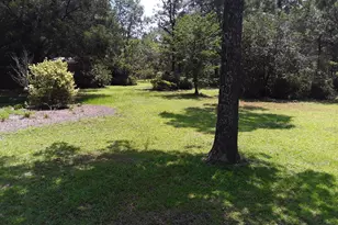 3074 King Lake Rd, Defuniak Springs, FL 32433 - Photo 53