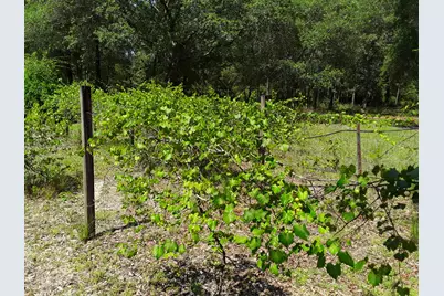 3074 King Lake Road, Defuniak Springs, FL 32433 - Photo 41