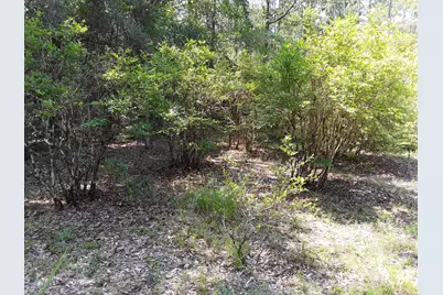 3074 King Lake Road, Defuniak Springs, FL 32433 - Photo 43