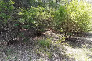 3074 King Lake Rd, Defuniak Springs, FL 32433 - Photo 43