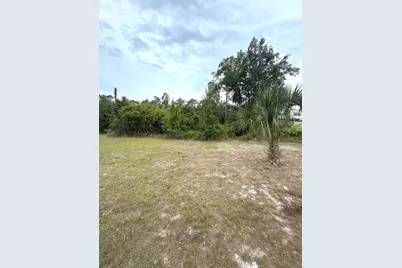 Lot 5 Oak Grove Avenue, Port Saint Joe, FL 32456 - Photo 15