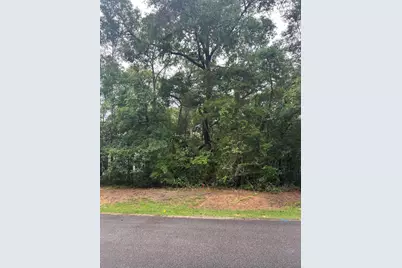 Lot 72 S J Hunter S Way, Freeport, FL 32439 - Photo 3