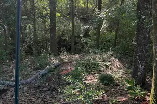 5515 E Co Hwy 181, Westville, FL 32464 - Photo 23