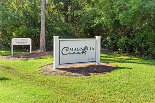 318 Magnolia Creek Rd, Santa Rosa Beach, FL 32459 - Photo 45