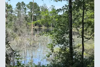 1154 Oakwood Lakes Boulevard, Defuniak Springs, FL 32433 - Photo 53