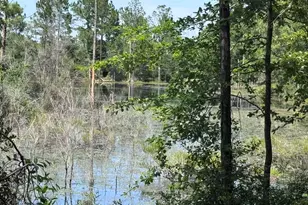 1154 Oakwood Lakes Blvd, Defuniak Springs, FL 32433 - Photo 53