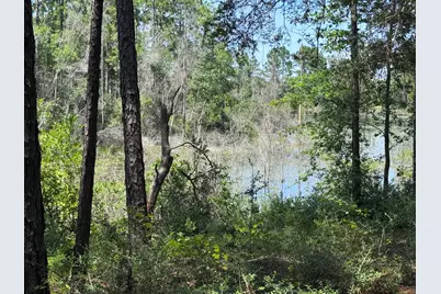 1154 Oakwood Lakes Boulevard, Defuniak Springs, FL 32433 - Photo 3