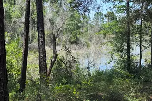1154 Oakwood Lakes Blvd, Defuniak Springs, FL 32433 - Photo 3
