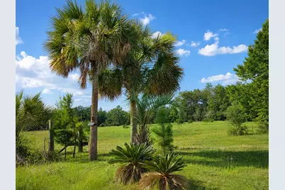 183 Deer Trail, Defuniak Springs, FL 32433 - Photo 7
