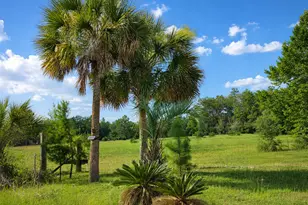 183 Deer Trail, Defuniak Springs, FL 32433 - Photo 7