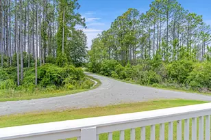 135 Golden Bell Ct, Inlet Beach, FL 32461 - Photo 3