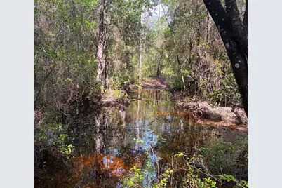 82 Acres 4 Flags Road, Laurel Hill, FL 32567 - Photo 45