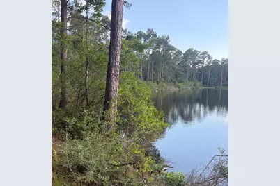 82 Acres 4 Flags Road, Laurel Hill, FL 32567 - Photo 39