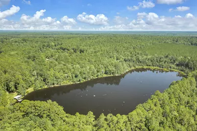 82 Acres 4 Flags Road, Laurel Hill, FL 32567 - Photo 11
