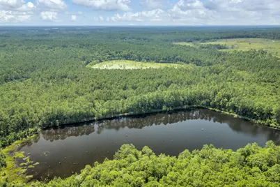 82 Acres 4 Flags Road, Laurel Hill, FL 32567 - Photo 17