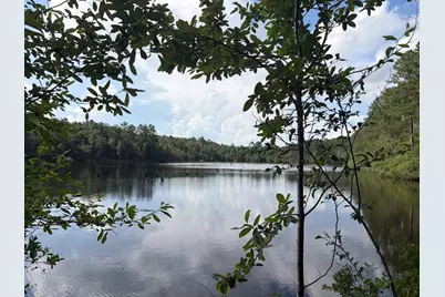 82 Acres 4 Flags Road, Laurel Hill, FL 32567 - Photo 37