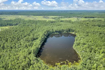 82 Acres 4 Flags Road, Laurel Hill, FL 32567 - Photo 13
