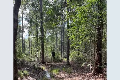 82 Acres 4 Flags Road, Laurel Hill, FL 32567 - Photo 43