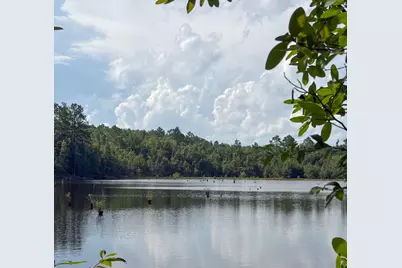 82 Acres 4 Flags Road, Laurel Hill, FL 32567 - Photo 41