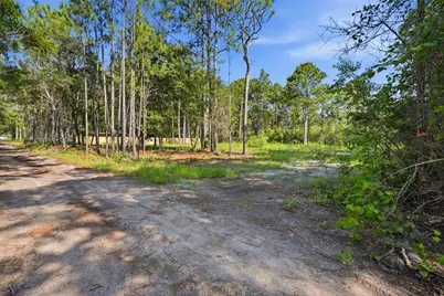 Lot 41 Grantham Lane, Santa Rosa Beach, FL 32459 - Photo 9