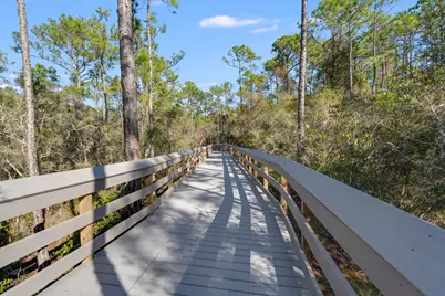 472 Cocobolo Drive, Santa Rosa Beach, FL 32459 - Photo 53