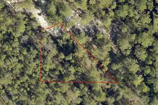 Lot 2 E Buckeye E, Defuniak Springs, FL 32433 - Photo 1