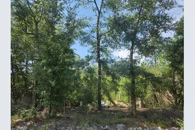 266 E Dogwood Avenue, Defuniak Springs, FL 32433 - Photo 5