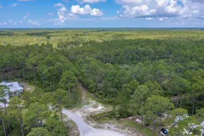 6624 Button Buck Trail, Panama City Beach, FL 32413 - Photo 3