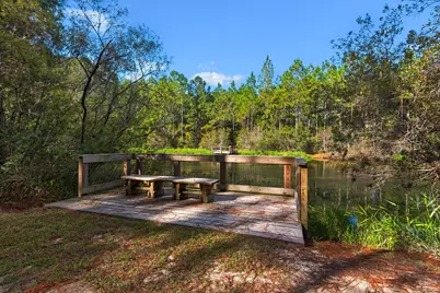 64 Hollow Log Lane, Freeport, FL 32439 - Photo 65