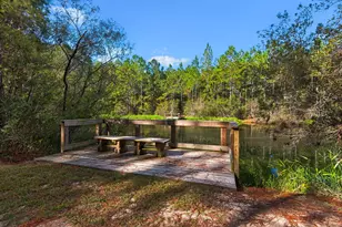 64 Hollow Log Ln, Freeport, FL 32439 - Photo 65