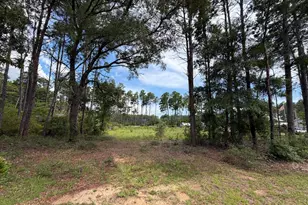 0 Co Hwy 3280, Freeport, FL 32439 - Photo 1