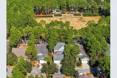 302 Jack Knife Drive, Inlet Beach, FL 32461 - Photo 43