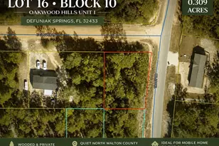 Lot 16 Trout Dr, Defuniak Springs, FL 32433 - Photo 1