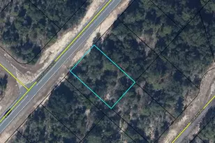 Lot 52 Shenandoah Blvd, Chipley, FL 32428 - Photo 1