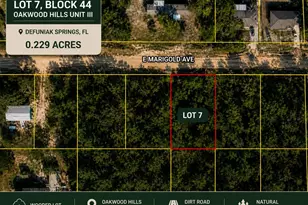 Lot 7 E Marigold Ave, Defuniak Springs, FL 32433 - Photo 1